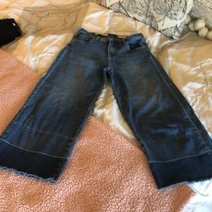 Pilcro crop  jeans